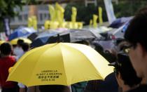 Protesters take part in a pro-democracy rally in Hong Kong on July 1, 2015