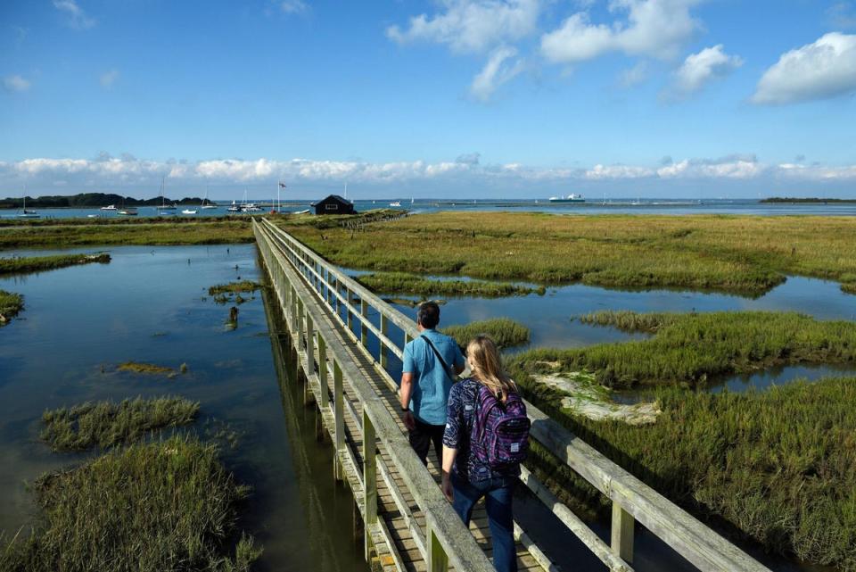 Newtown National Nature Reserve (National Trust Images)