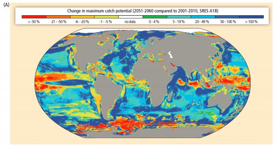 Change in catch potential to world fisheries