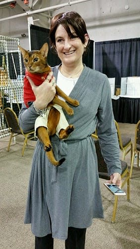 This Abyssinian cat donned khakis as "Jake from State Farm," from the insurance company's popular series of commercials.