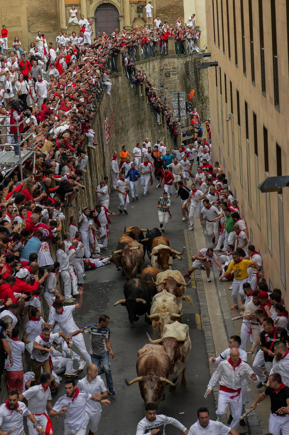 La Palmosilla's fighting bulls run among revellers during the first day of the running of the bulls during the San Fermin fiestas in Pamplona, Spain, Friday, July 7, 2023. (AP Photo/Alvaro Barrientos)