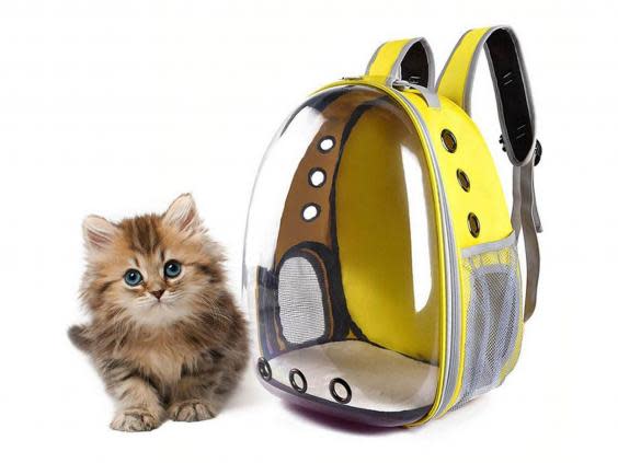 10 best cat carriers to easily transport your pet