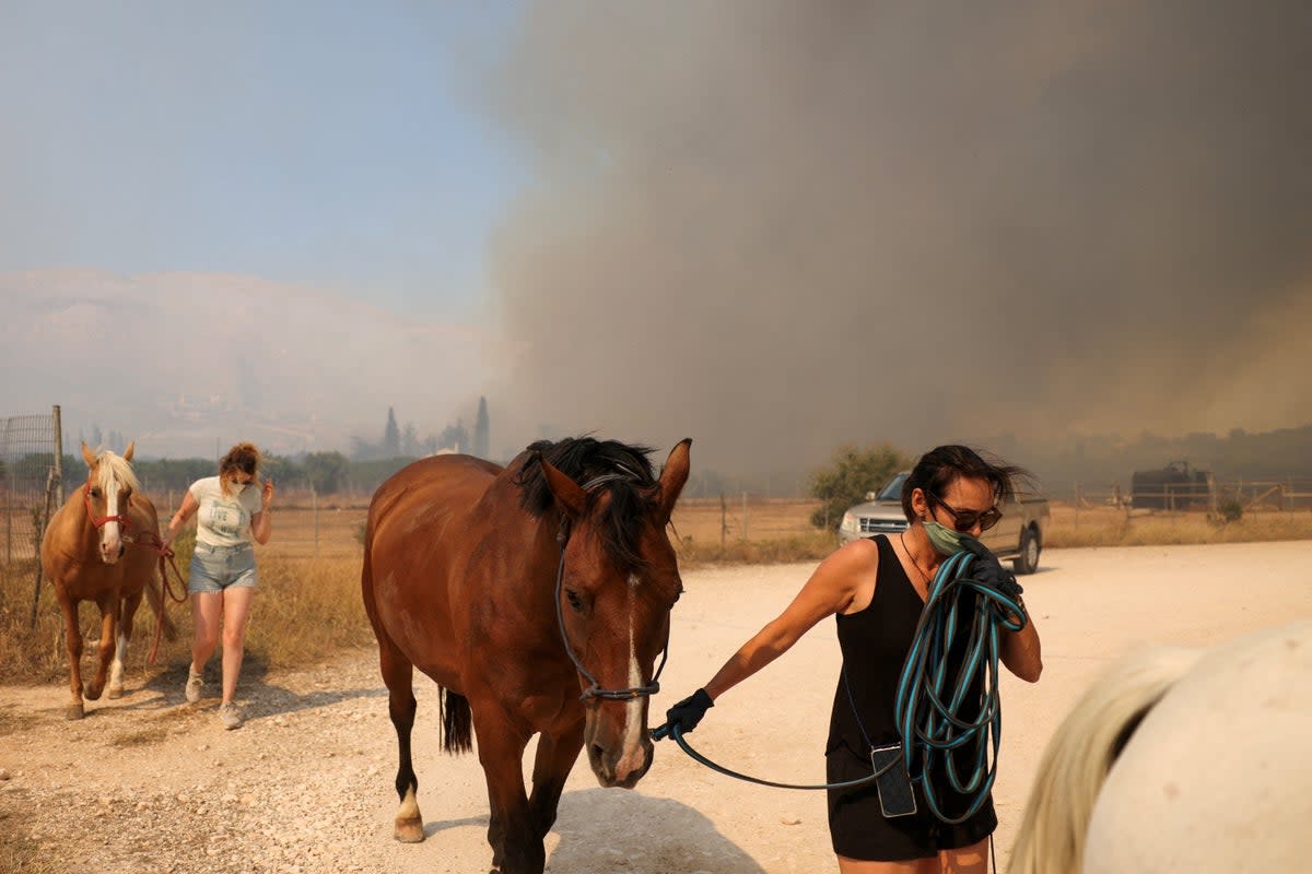 People evacuate horses from a horse riding centre, as a wildfire burns in Kalyvia, near Athens, Greece, 17 July 2023 (REUTERS)
