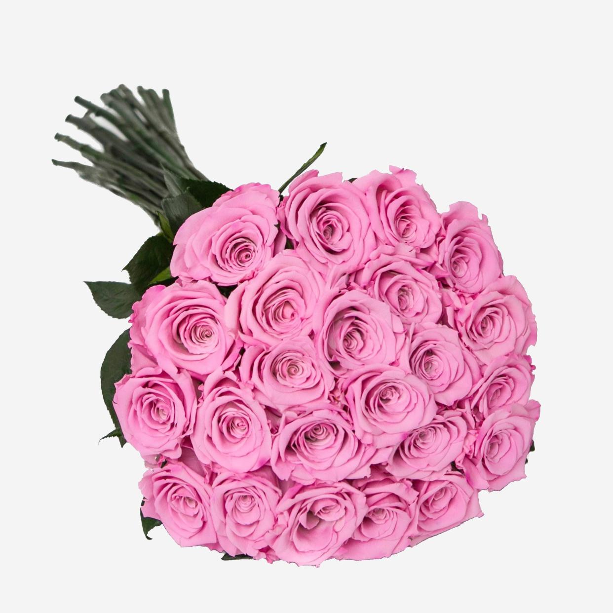 <p><a href="https://go.redirectingat.com?id=74968X1596630&url=https%3A%2F%2Fthemillionroses.com%2Fproducts%2Fcandy-pink-long-stem-roses&sref=https%3A%2F%2Fwww.harpersbazaar.com%2Ffashion%2Ftrends%2Fg60307603%2Fbest-luxury-home-decor%2F" rel="nofollow noopener" target="_blank" data-ylk="slk:Shop Now;elm:context_link;itc:0;sec:content-canvas" class="link rapid-noclick-resp">Shop Now</a></p><p>Long Stem Roses | Candy Pink Roses</p><p>themillionroses.com</p><p>$182.00</p>