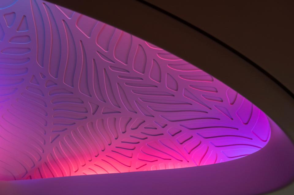 A purple and pink pattern reproducing wildlife in Hawaiian Airlines' dreamliner.
