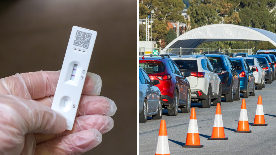 Hand holds rapid antigen test while wearing gloves, cars in queue for PCR test. 