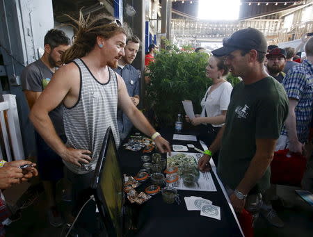 Vendors and marijuana enthusiasts gather at a "Weed the People" event to celebrate the legalization of recreational use of marijuana in Portland, Oregon July 3, 2015. REUTERS/Steve Dipaola
