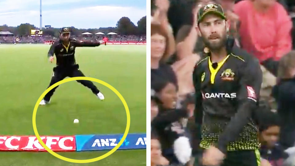 Glenn Maxwell (pictured right) frustrated afte a gaffe in the outfield (pictured left).