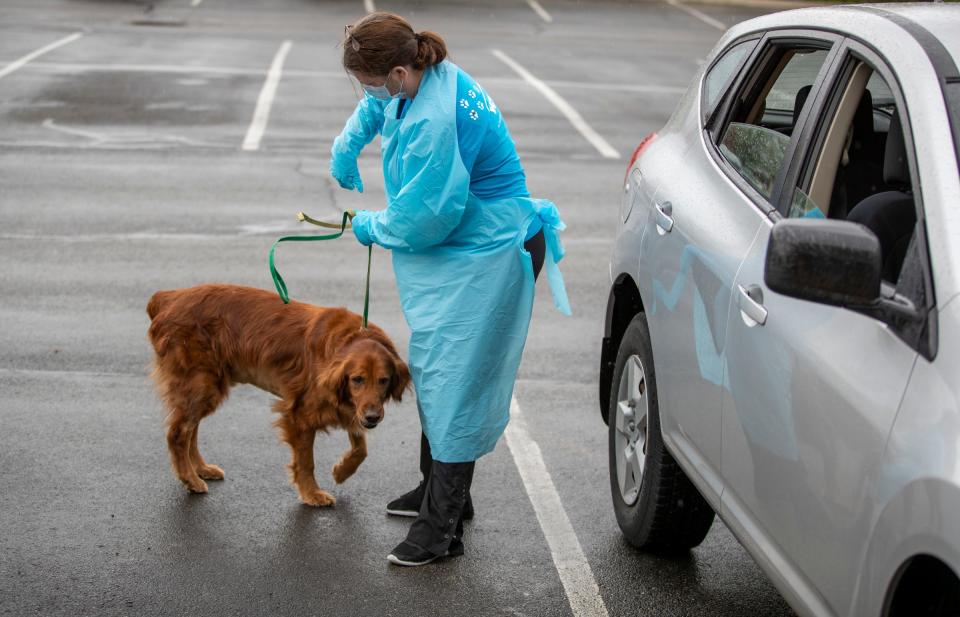 Brenda Long, a receptionist, checks in a patient in the parking lot at VCA, Advanced Veterinary Care Center, a veterinary hospital that features a 24/7 emergency room, on April 23, 2020. She interacts with pet owners who are unable to go into the hospital due to new safety protocols.