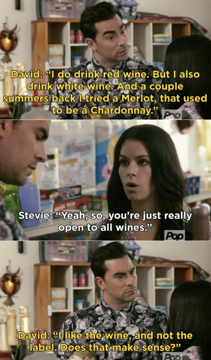 David from "Schitt's Creek" coming out as pansexual to Stevie