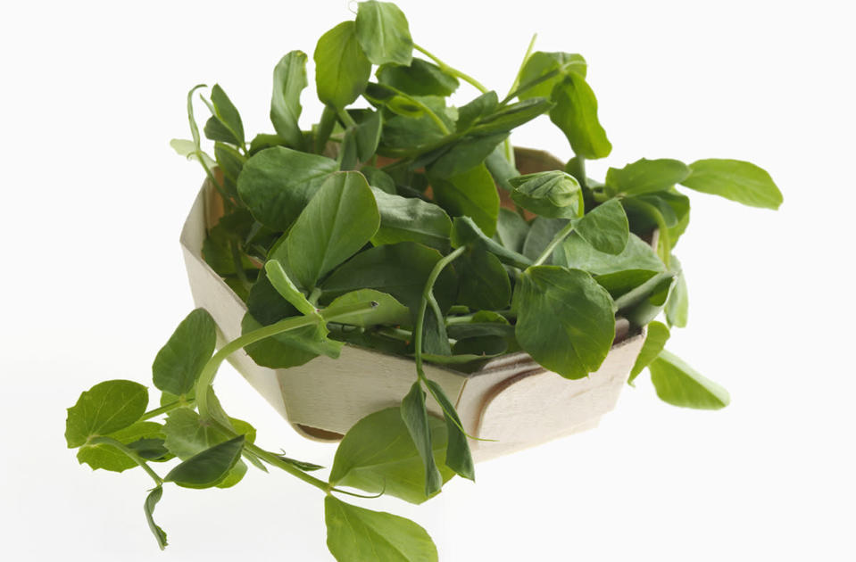 <p>Uh oh. These little things look uber healthy, but pea shoots and sprouts have been the source of an incredible number of food recalls because they are REALLY good at carrying foodborne illnesses. Be warned. [Rex Features]</p>