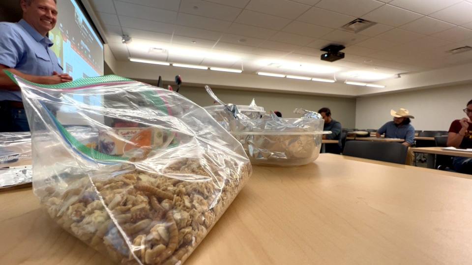 The course in entomology, which is the study of insects, enrolled nearly 500 students in the spring 2022 semester. Scott Bundy, professor of entomology at NMSU, said the class is a hybrid format, offered both online and in-person.