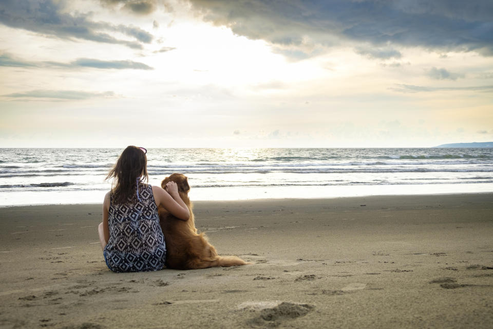 Warum soll man sich von einem Hund nicht genauso gebührend verabschieden wie von einem Menschen? Das dachte sich eine Golden-Retriever-Besitzerin und schaltete eine Traueranzeige. (Symbolbild: Getty Images)