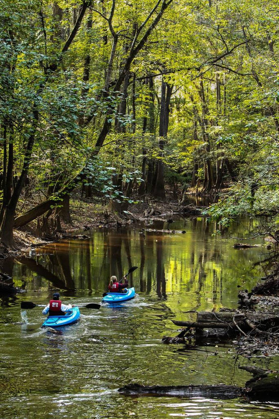 A Florida couple paddle upstream on Cedar Creek through Congaree National Park.