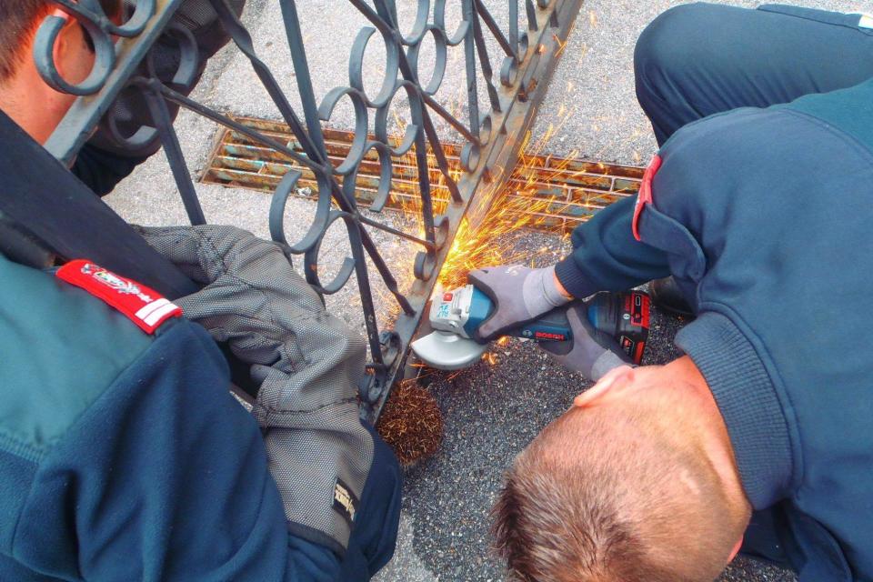 Firefighters in Austria rescue plump hedgehog wedged in a gate