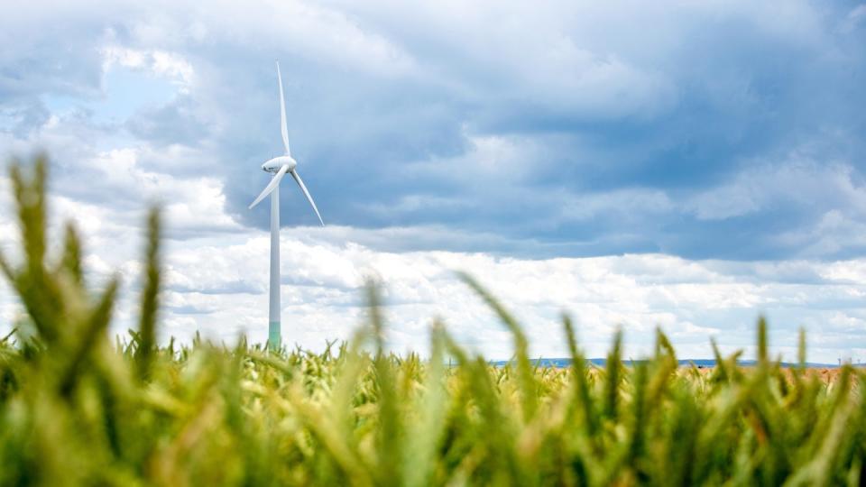 Der von Windkraftanlagen an Land geht weiterhin schleppend voran.