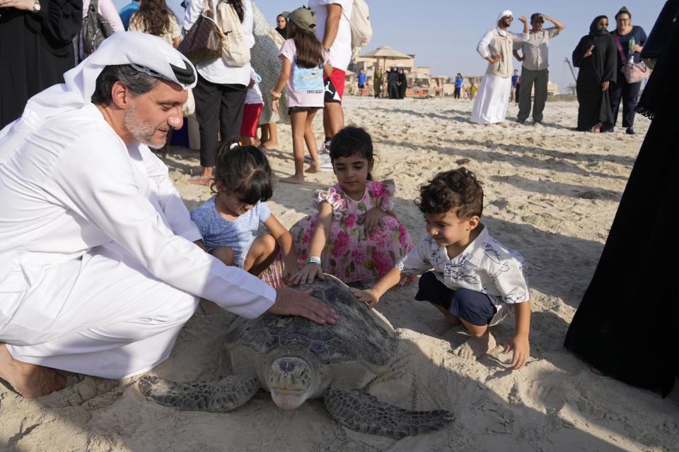 People pet a sea turtle to release on Saadiyat Island of Abu Dhabi, United Arab Emirates, Tuesday, June 6, 2023. As sea turtles around the world grow more vulnerable due to climate change, the United Arab Emirates is is working to protect the creatures. (AP Photo/Kamran Jebreili)
