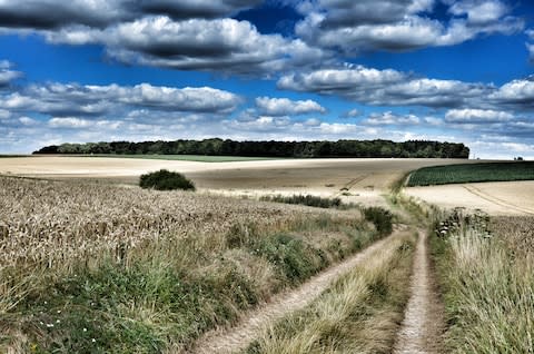 A Somme battlefield - Credit: GETTY