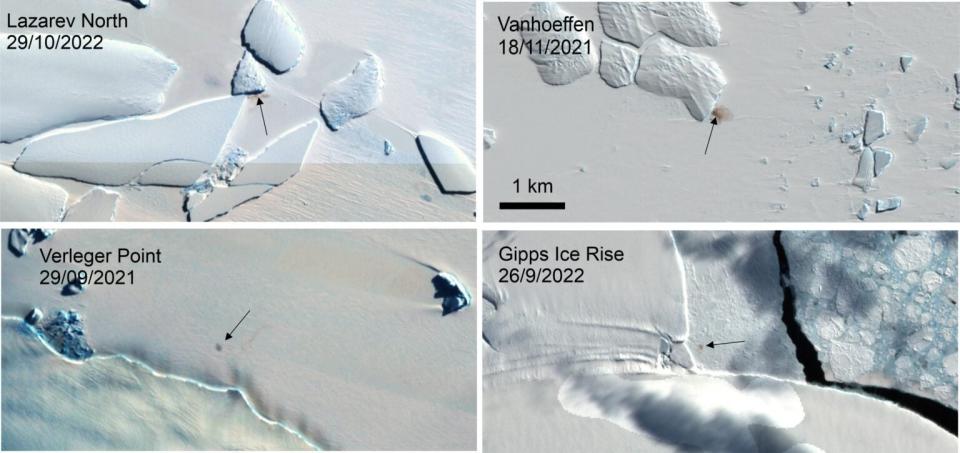 Satellite view of the four previously unknown Emperor penguin breeding sites. 