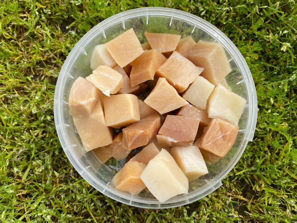 Hákarl, fermented shark food.