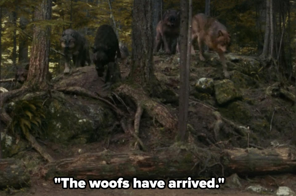 Rob: The woofs have arrived