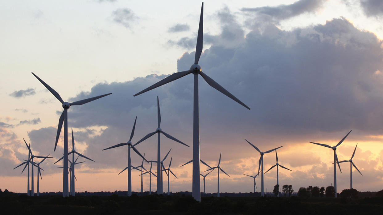 Wind power plant in north-west Germany near the city of Emden. (plus49/Construction Photography/Avalon/Getty Images)