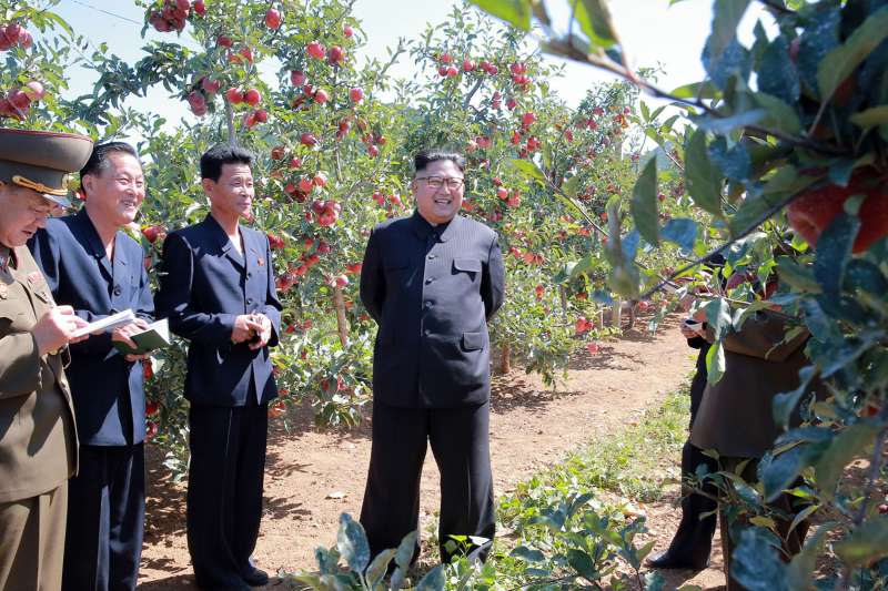 2017年9月，北韓最高領導人金正恩視察農業生產。（AP）