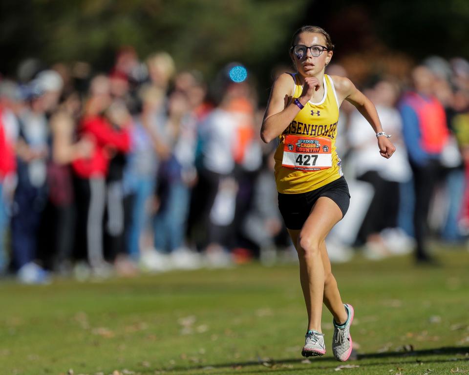 New Berlin Eisenhower's Faith Wehrman was the Division 2 state cross-country champion last year.