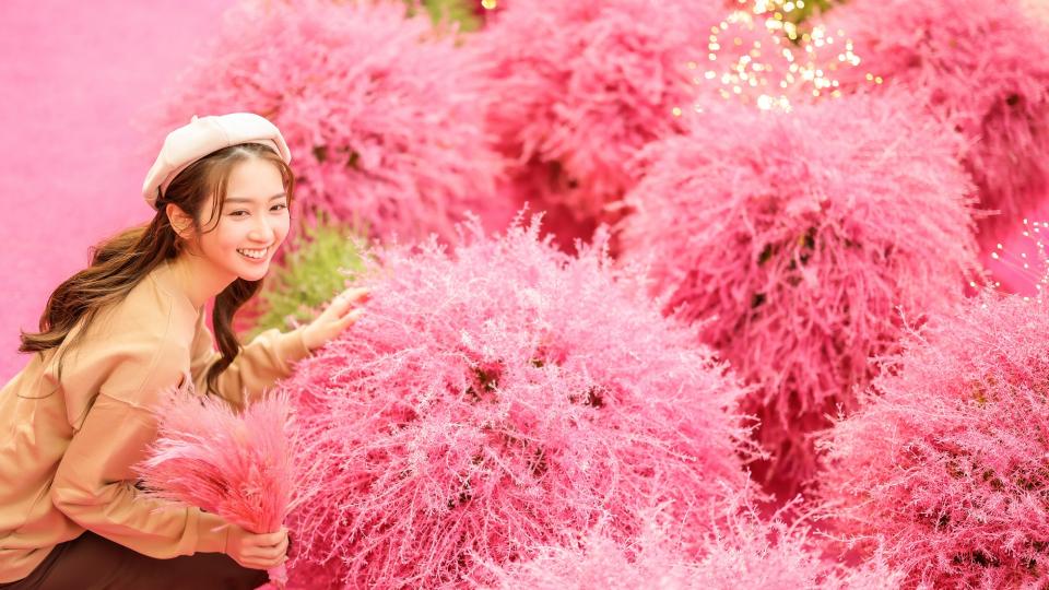 新年好去處2023｜日本超人氣浪漫花田《地膚之森》登陸北角！火紅波波草園＋光影教堂＋水晶球隧道