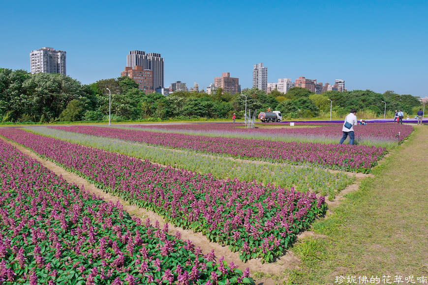 台北｜古亭河濱公園