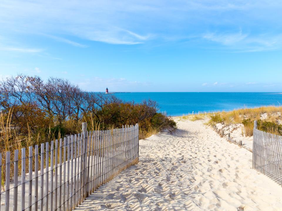 Cape Henlopen State Park in Delaware.