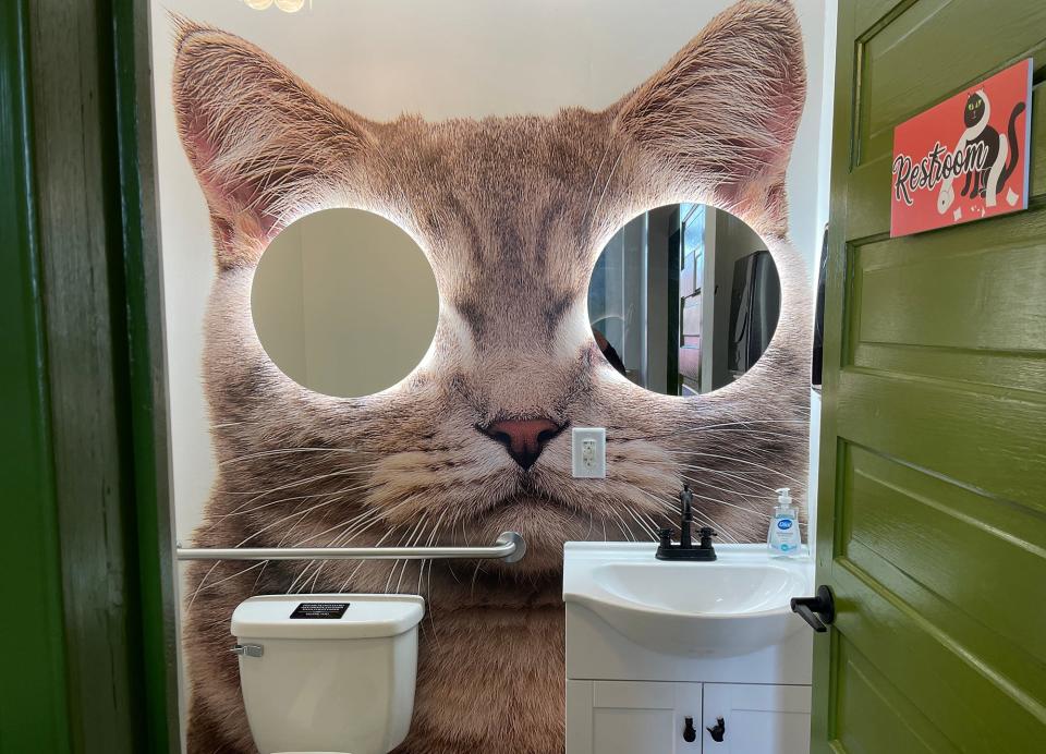 The mirrored restroom at Entangled Cat Cafe in Watkinsville, Ga. on Monday.