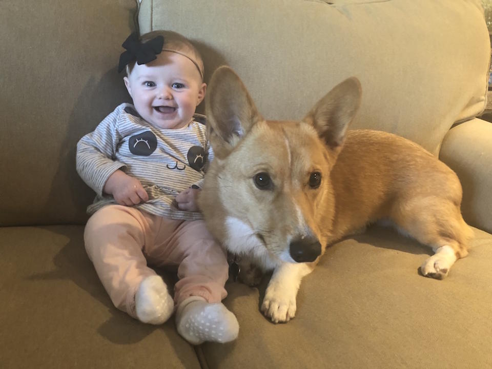 Ranger refuses to leave Berkeley’s side four months after she was born (Picture: Caters)