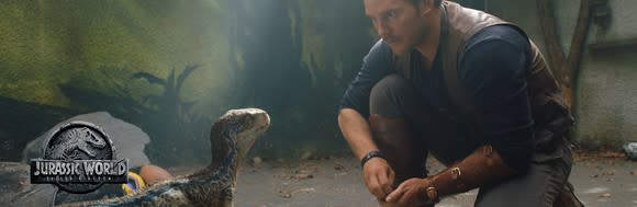 Actor Chris Pratt crouches besides a baby velociraptor dinosaur.