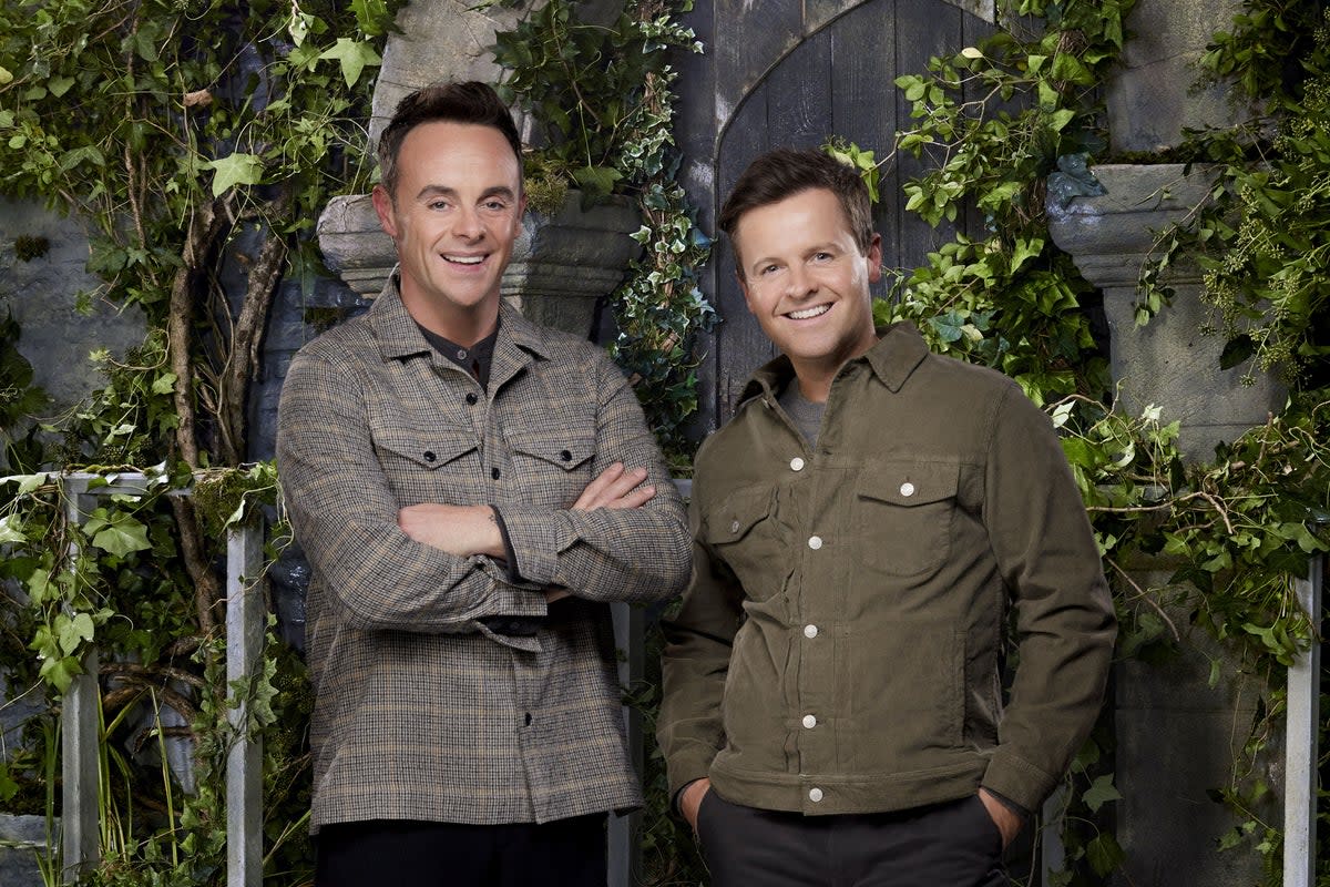 Ant and Dec are reuniting in the jungle for the new series  (ITV/PA Media)