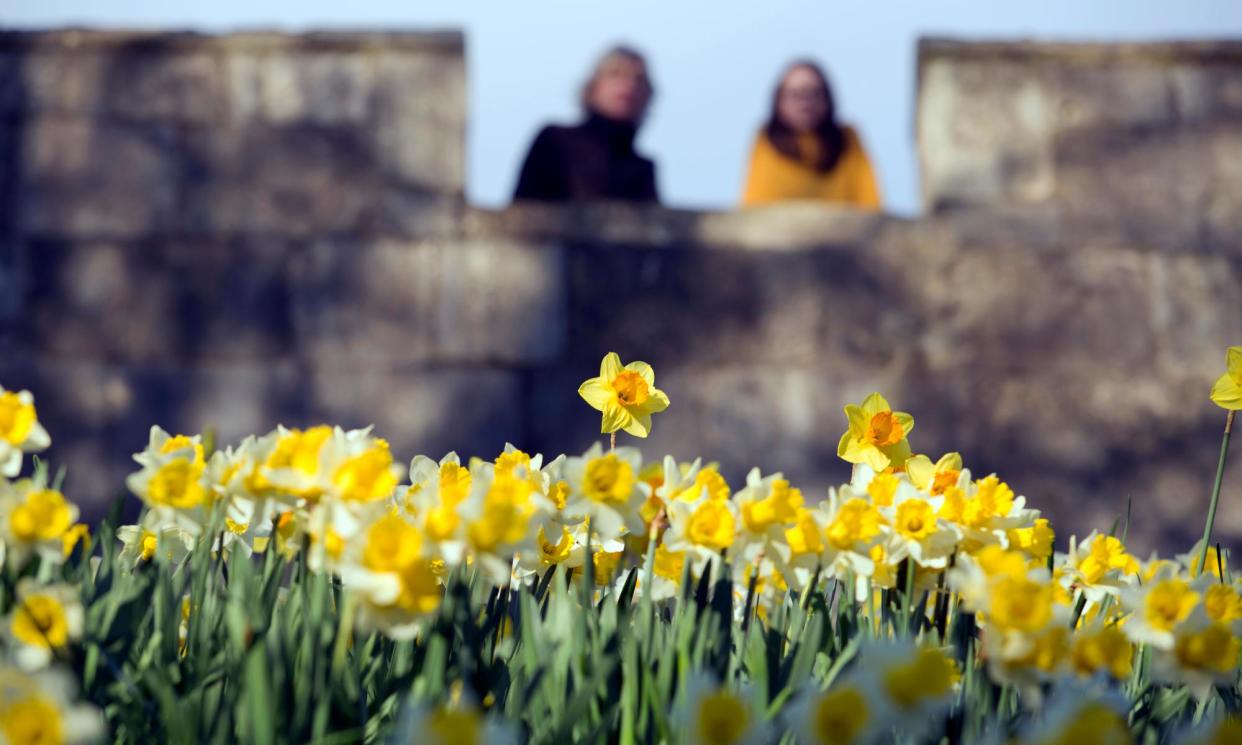 <span>Photograph: Richard Saker/The Guardian</span>