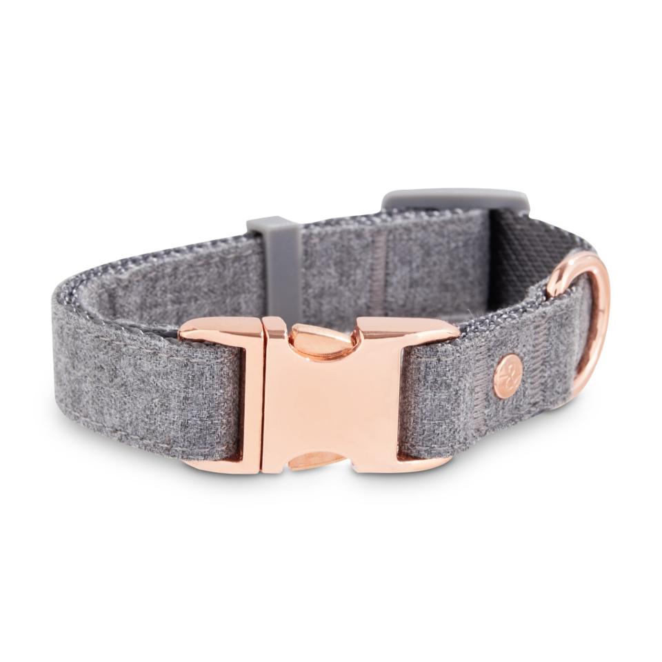 Regal Rose Gold Dog Collar