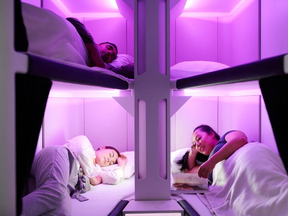 Air New Zealand Skynest