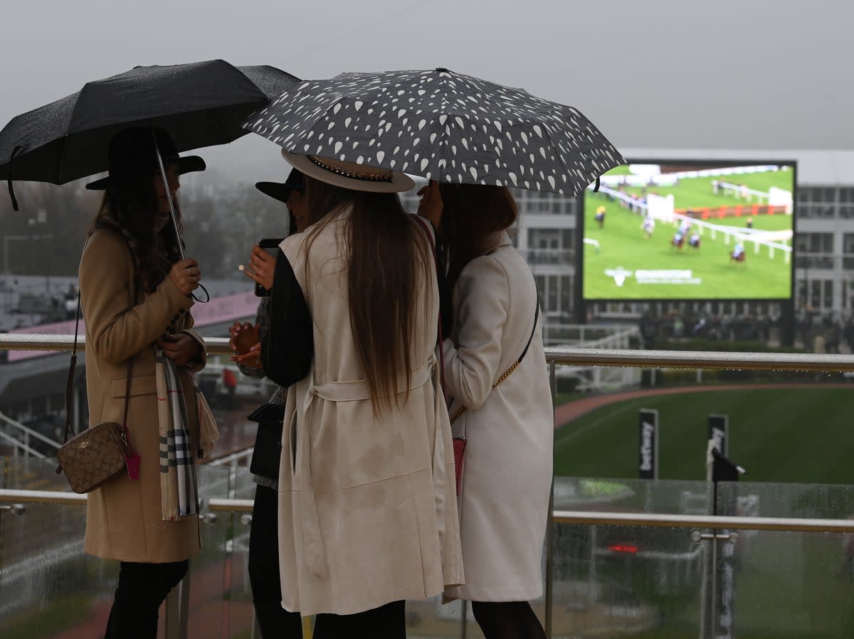 Rain could disrupt this year’s Cheltenham Festival  (Getty Images)