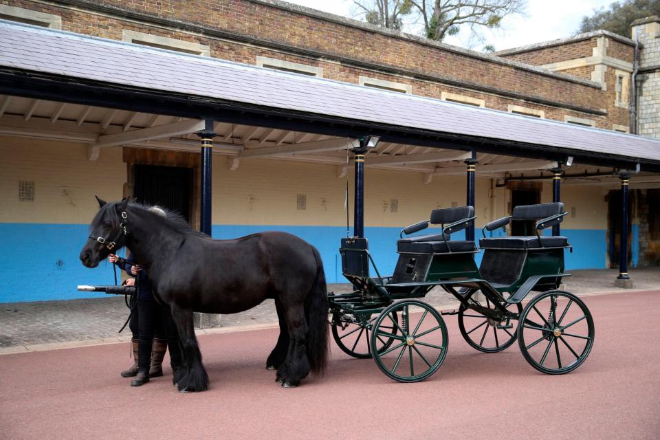 The Duke of Edinburgh’s love of carriage driving will be a feature on the dayPA