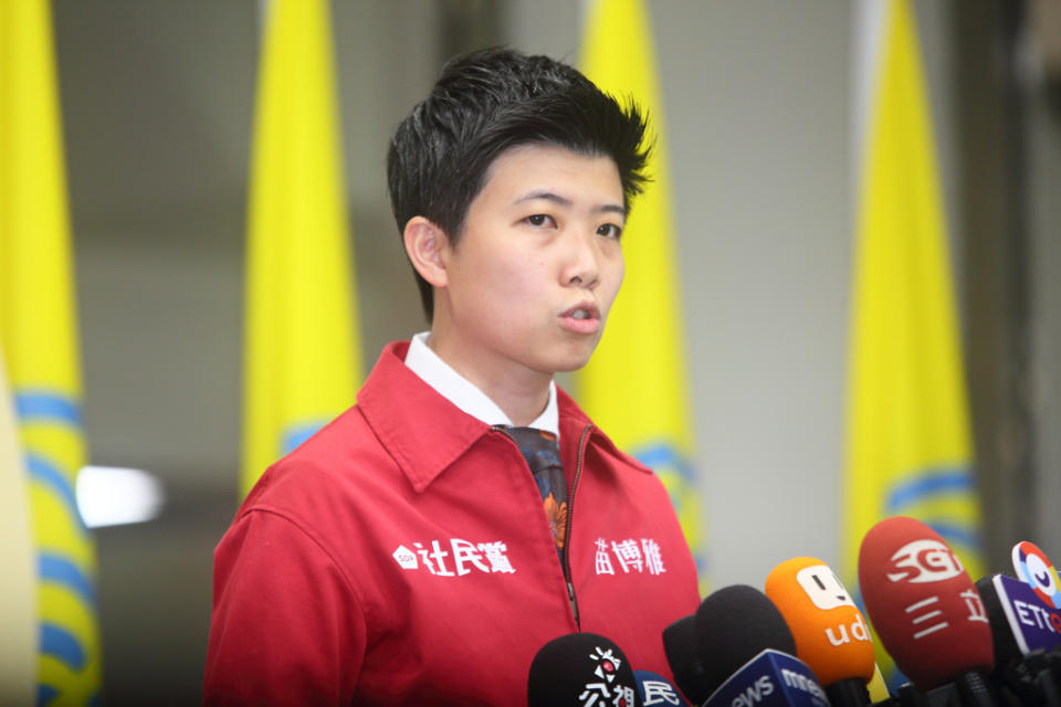社民黨台北市議員苗博雅被批幫綠營造謠，已無公信力可言。（示意圖／資料照／張鎧乙攝）
