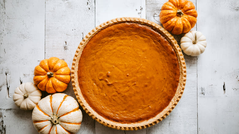 pumpkin pie with miniature pumpkins