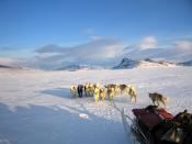 Sirius Dog Sled Patrol is pictured in northeastern Greenland