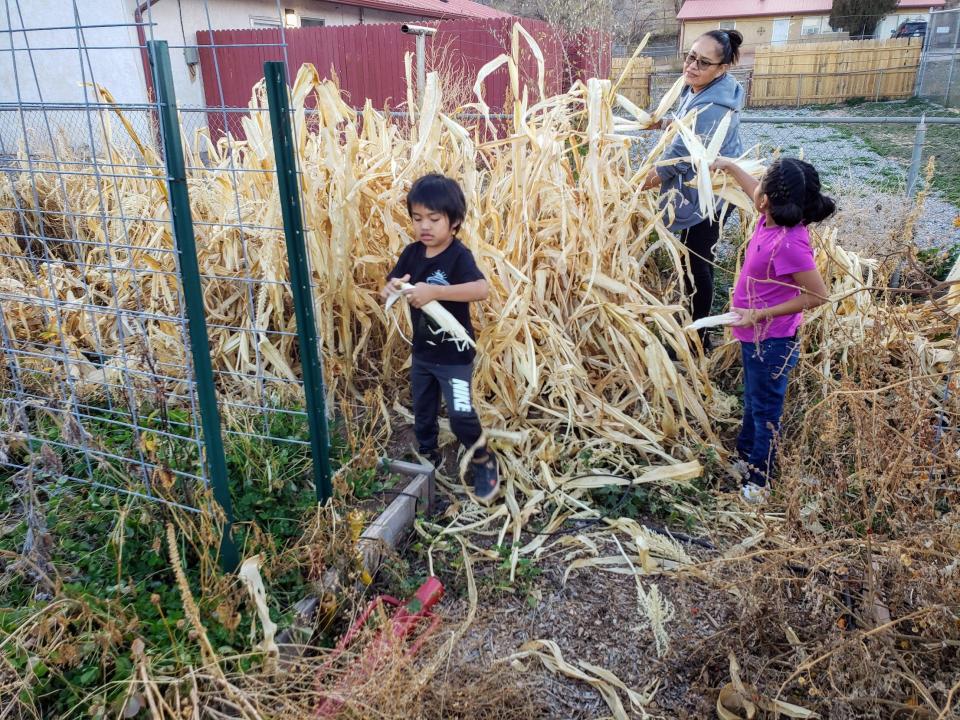 Denee Bex, a dietician at Tséhootsooí Medical Center in Arizona, started the Facebook group 'Navajo Land Gardeners & Farmers'.