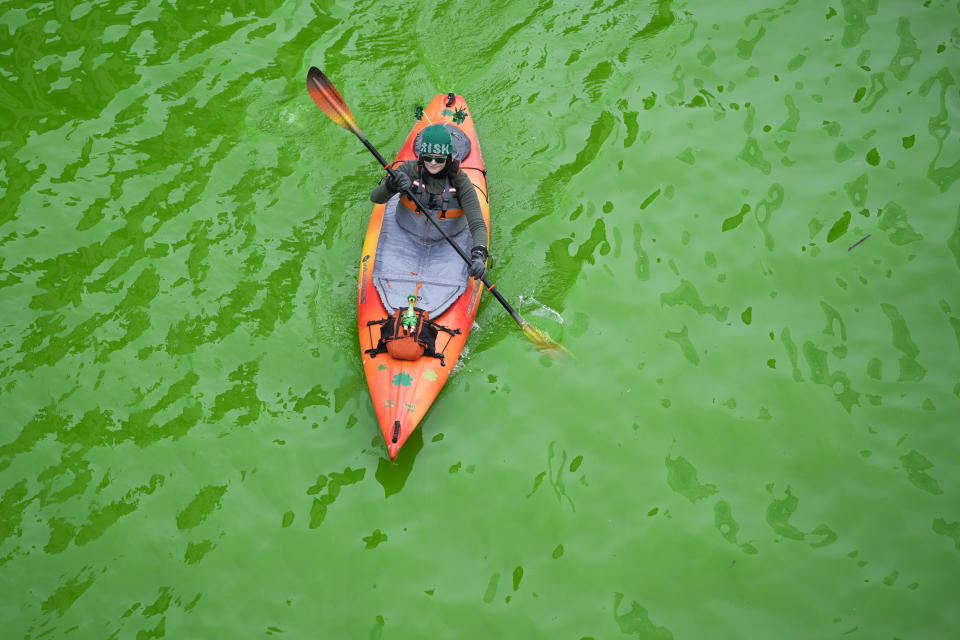 Un kayak flota en el río Chicago, teñido de verde antes de la celebración del día de San Patricio, el sábado 16 de marzo de 2024 en Chicago. (AP Foto/Erin Hooley)