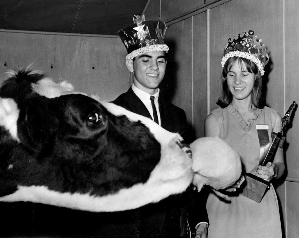 King George Mekras and Queen Linda Rocawich feed cotton candy to a giant steer in 1966.