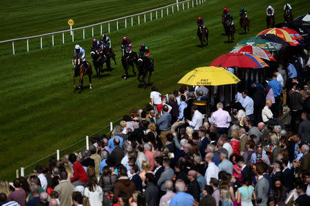 Punters watch a race at Down Royal Racecourse, in Lisburn, Northern Ireland, May 1, 2017. REUTERS/Clodagh Kilcoyne