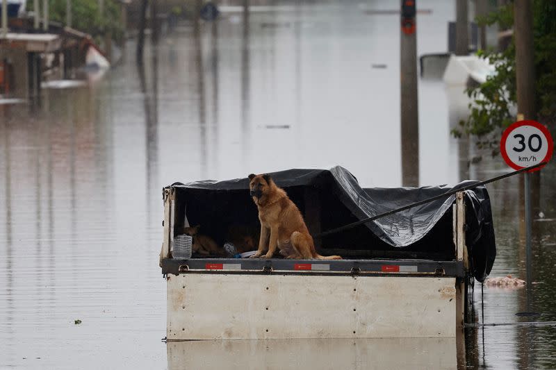 Flooding due to heavy rains in Rio Grande do Sul