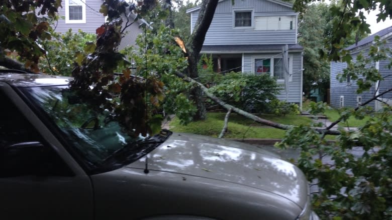 2016 storm damage was costliest in a decade, says Nova Scotia Power