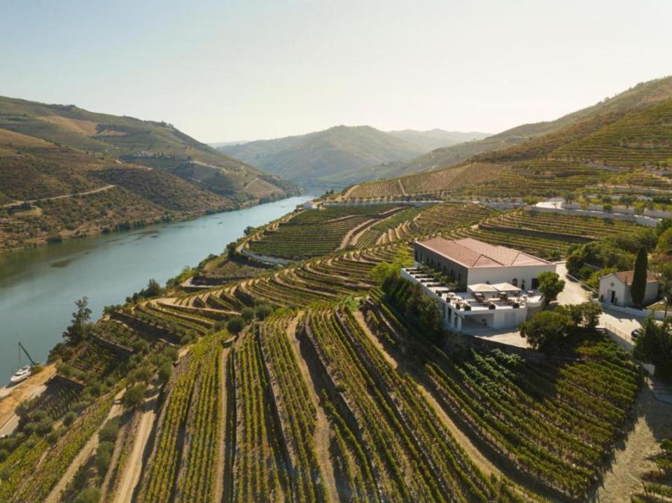 <p>Courtesy of Kopke</p><p>Considered to be one of the most representative Estate of the Douro Region.</p><p>São Luiz bears, these days, the end result of several acquisitions of other properties situated in the same area: Quinta da Mesquita (1972), Quinta da Lobata (1974), Quinta da Alegria (1982) and Quinta da Galeira (1987). The property has a total of 125 hectares, 94 of which are carefully tendered vineyards, many very old.</p><p>It's a Quinta that embodies centuries of Kopke's history and passion and is located in Tabuaço on the left bank of the Douro River between Régua and Pinhão, at the heart of the Douro Region.</p><p>Offering river views, Quinta de São Luiz - The Vine House in Tabuaço features accommodations and an infinity pool. With private parking, the property is 12 miles from Douro Museum and 19 miles from Our Lady of Remedies Sanctuary. </p><p>Over this visit at Quinta de São Luiz, you will be able to know the history of the Douro Region, the Estate and the vines, along with the winemaking process - from harvesting to the ageing process. At last but not least, you'll have the opportunity to have a tasting experience of our still and Port wines.</p><p><a href="https://www.booking.com/hotel/pt/quinta-de-sao-luiz-the-vine-house.html" rel="nofollow noopener" target="_blank" data-ylk="slk:Click here to make a reservation;elm:context_link;itc:0;sec:content-canvas" class="link ">Click here to make a reservation</a></p>